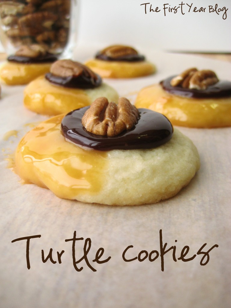 Turtle-Cookies-2-768x1024
