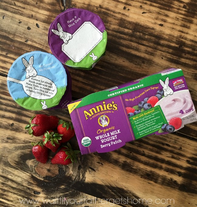 Try out the NEW flavors of Annie’s Organic Whole Milk Yogurt available at Publix! #ChooseGood #sponsored #Annies